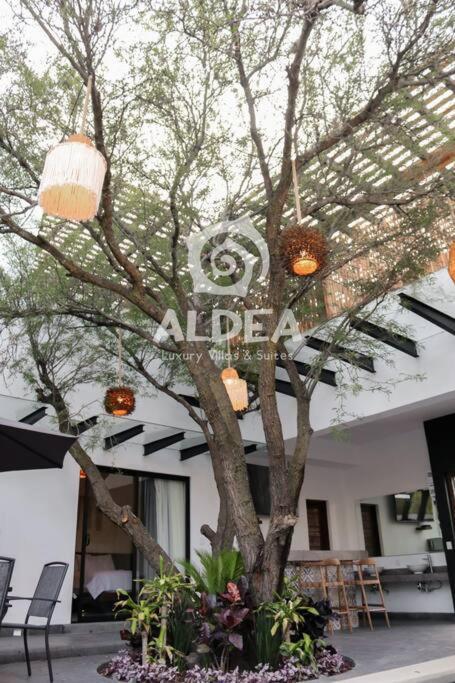 Villa Huizache Alberca Privada+Exclusividad+Lujo San Martín de las Pirámides Екстериор снимка